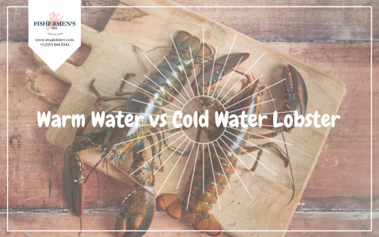 Warm Water vs Cold Water Lobster: What Is the Difference?