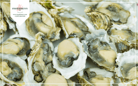 15+ Interesting Oyster Facts And Informations You Didn't Know