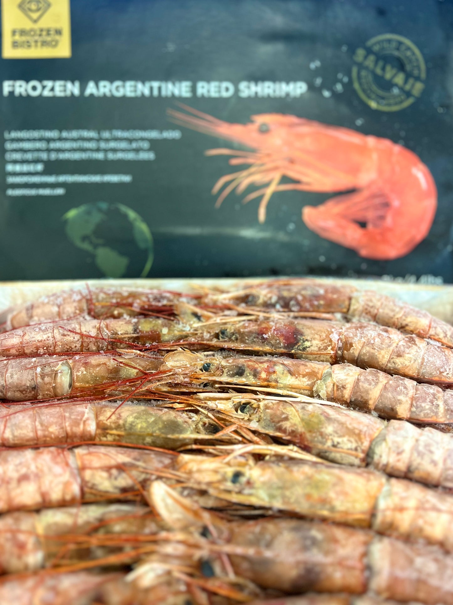 Langoustine Congelados đông lạnh từ Argentina