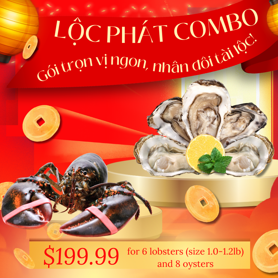 Lộc Phát Combo – 6 Lobsters + 8 Oysters