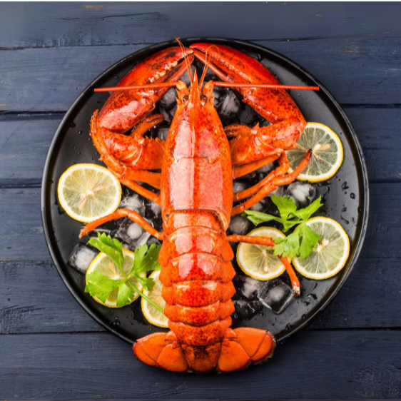 Buy 6 Fresh Lobster (Size 1.4-1.7 lb) | Get 2 lb mussel FREE