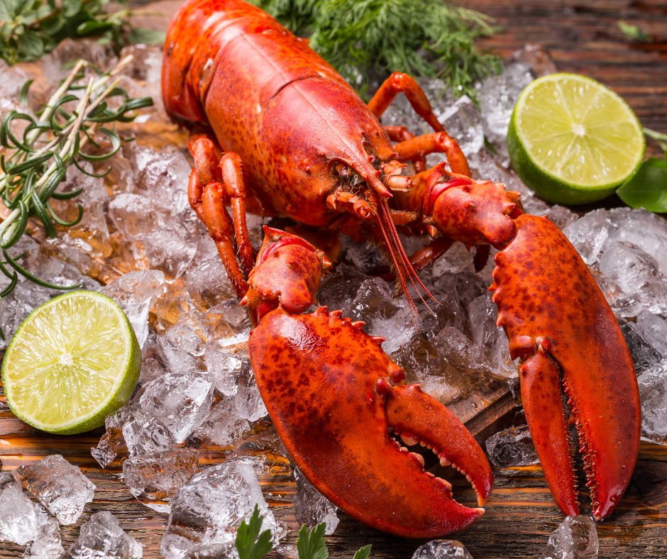 Maine Lobster Boat Run Mix