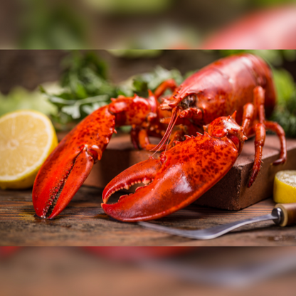 Buy 10 lb Jumbo Lobster | Get 5 lb Mussels FREE