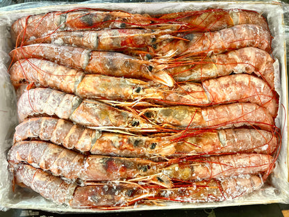 Langoustine Congelados đông lạnh từ Argentina