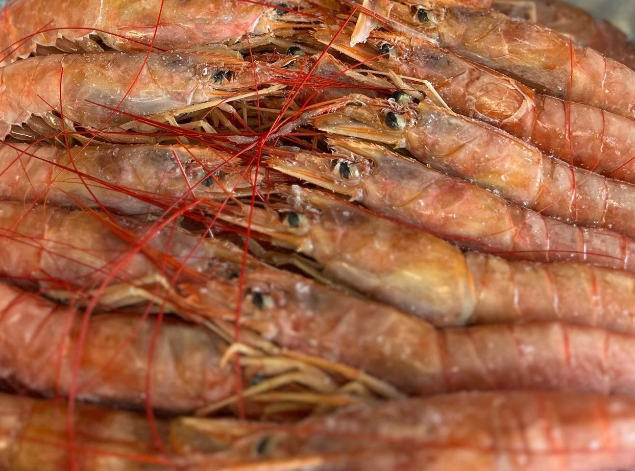 Frozen Langoustine Congelados from Argentina