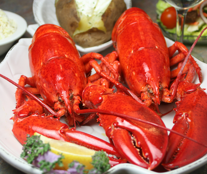 Buy 10 Fresh Lobster (Size 1.4-1.7 lb) | Get 2 FREE