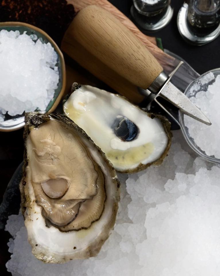 Live Fresh Select Oysters (4-5 inches) - Perfect for Grilling or Raw