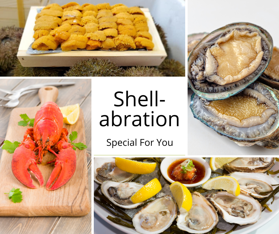 Shell-abration