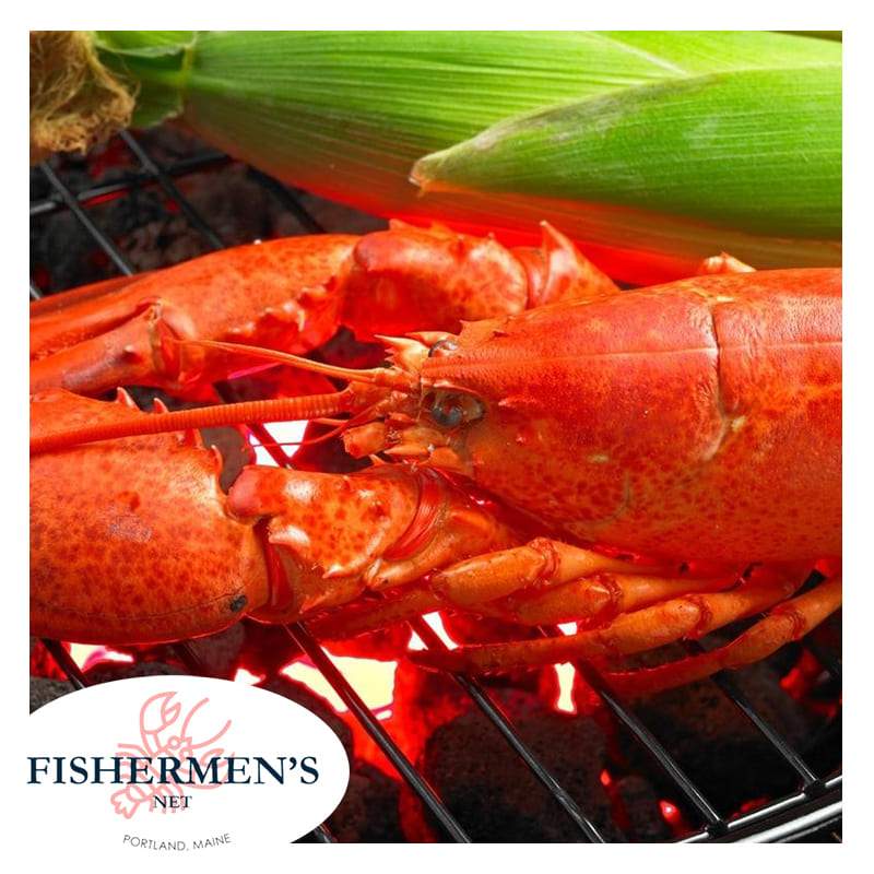 1.75 Lb Fresh Whole Maine Lobsters Pack Of 2 | Fishermen's Net