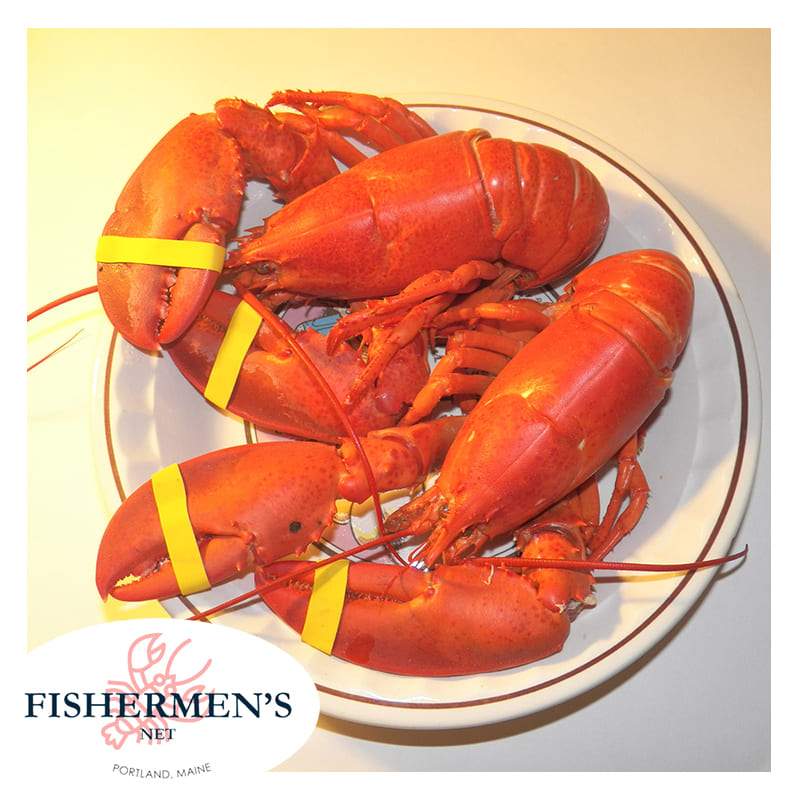 Buy 10 Fresh Lobster (Size 1.4-1.7 lb) | Get 2 FREE